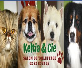 Keltia & Cie image 5