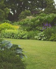 Noir jeson Espace vert LUGI image 5