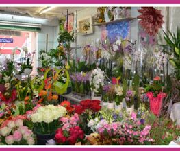 GERIN FLEURS image 11
