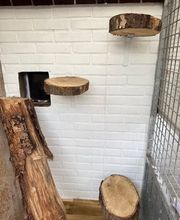 Dierenhotel Pandora afbeelding 2