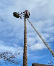 Distler Land und Forst Bild 5