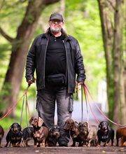 Dackel Vom Lichten Berg