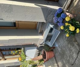 NYFELER AG Bild 1