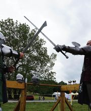 Silver Sage Renaissance Festival image 17
