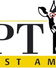 Optik Gneist am Zoo Bild 1