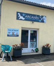 Arcanin image 13