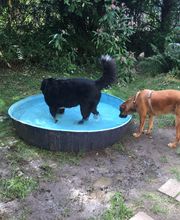 Martin Hofmann Bild 14