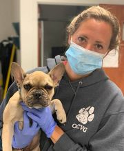 Bridge Veterinary Hospital image 5