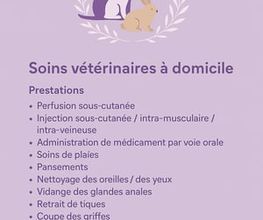 Walk and Care, Fimognari Bild 1
