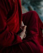 Elysia Serenity Bild 5