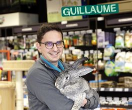 Tom&Co Denain image 5