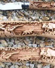 niglo chatrie image 4