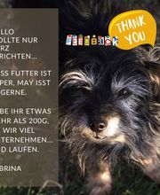 HUNDherum glücklich mit Antje Schnitzler Hundefutter-Vergleich24 | ANIfit Bild 13