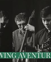 Swing Aventure image 13