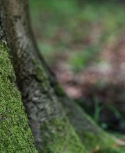 Philipp Niemann Bestattungshaus Bild 2