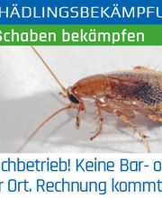 Klavier Zähringer Bild 9