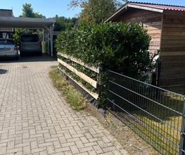Haus-&Gartenservice Rose Bild 11
