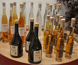 Weingut Saxer AG Bild 3