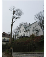 Baumpflege Lachmann Bild 2