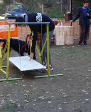 236345021-2-niPaYxIQ1I1740753236164.jpeg