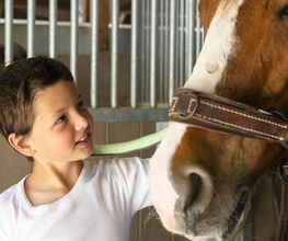 Manège et Poney Club de Presinge Bild 7