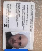 Renard Dianni image 8