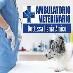 Ambulatorio veterinario Dott.ssa Ilenia Amico logo