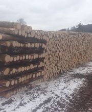 Savary Marc Sàrl Bild 5