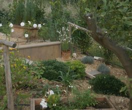 C.Provence paysage image 11