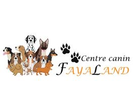FayaLand image 3