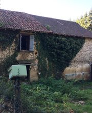 Thuilier Patrick image 14