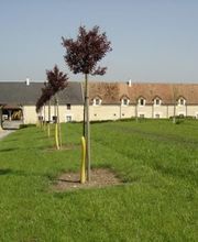 La Ferme de la Rivière image 1