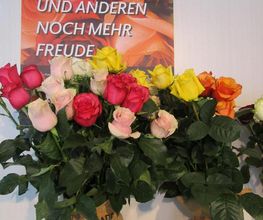 Gärtnerei Mohring Bild 8