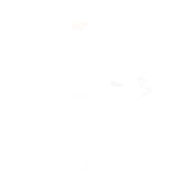 228684643-1-rgyvaqwpsF1784631553524.png