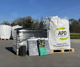 APD Auen Pflege Dienst AG Bild 9