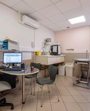 Clinique vétérinaire de Cognac - Sevetys image 17