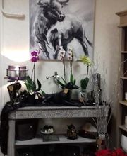 Au Pois De Senteur image 7