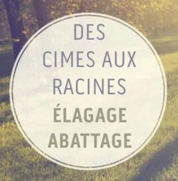 Des Cimes Aux Racines