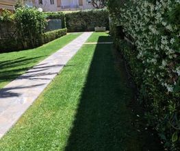 jardin_javea.jpg