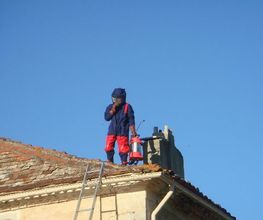 Allo 3D image 7