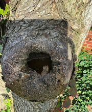 WhatsApp Bild 2025-03-31 um 09.47.09_a877369a.jpg