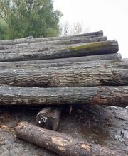 Bouillard Pascal image 5