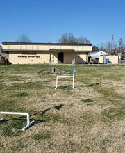 Northgate Animal Hospital image 13