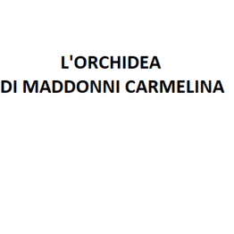 Fiori e Piante L'Orchidea logo