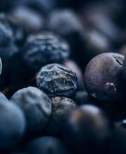 Castello di Cantone - Vecchia Masseria Bild 7