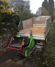 Danielou Elagage image 13