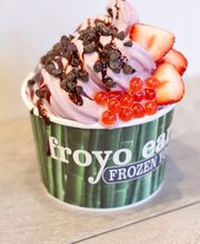 Froyo Earth image 1