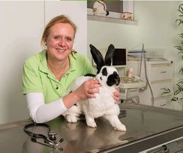 Tierarztpraxis Petra Scheunert Bild 4