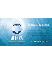 Altera image 2