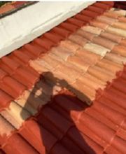 Lenoir Steeve image 17